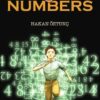 Chased_by_Numbers