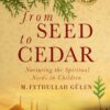From Seed to Cedar