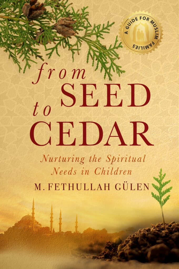From Seed to Cedar