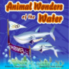 Animal Wonders of the Water