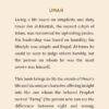 Umar back Cover