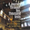a journey through ten thousand veils cover