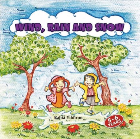 Wind Rain and Snow